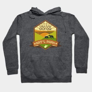 New River Gorge National Park Hoodie